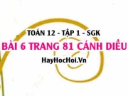 Bài 6 trang 81 Toán 12 tập 1 Cánh Diều